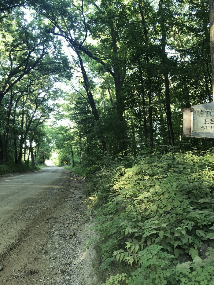 Stony Run - July 2020 Photo (newer photo)